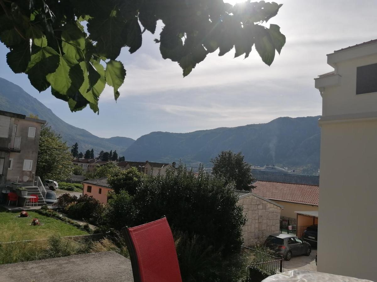 Apartments Zeljka-Dobrota Kotor Zewnętrze zdjęcie