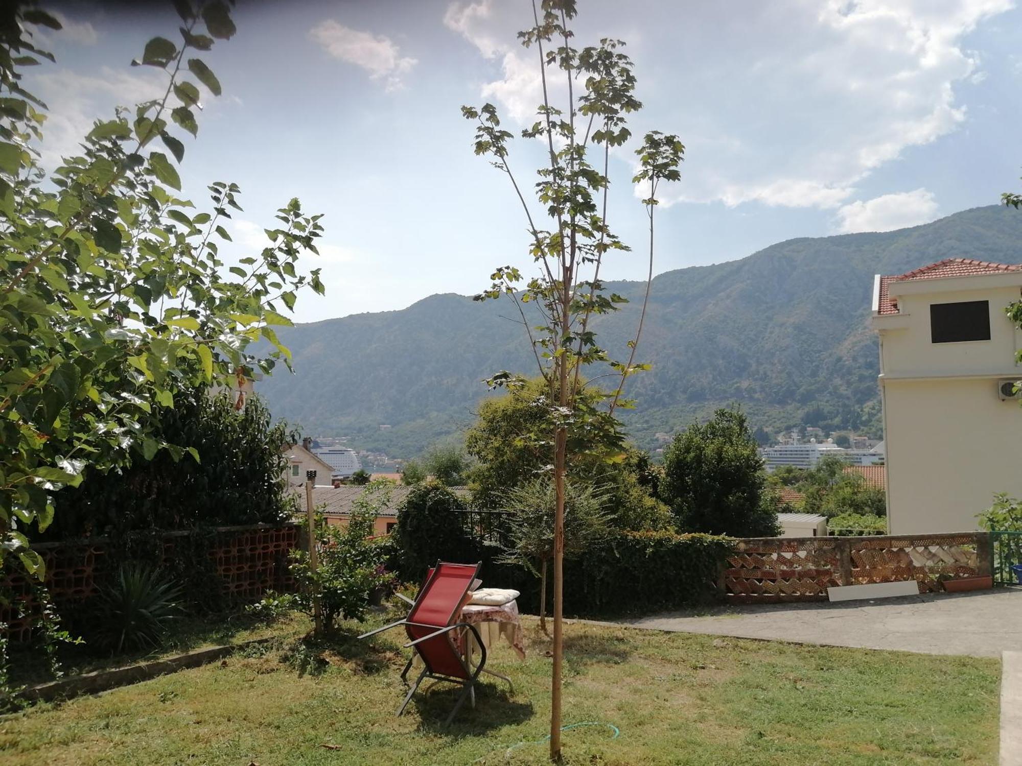 Apartments Zeljka-Dobrota Kotor Zewnętrze zdjęcie