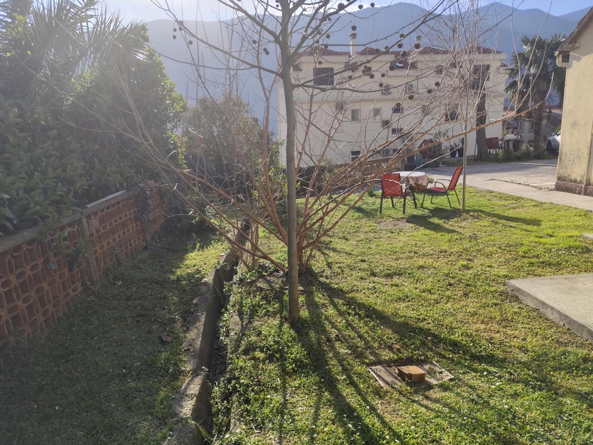 Apartments Zeljka-Dobrota Kotor Zewnętrze zdjęcie